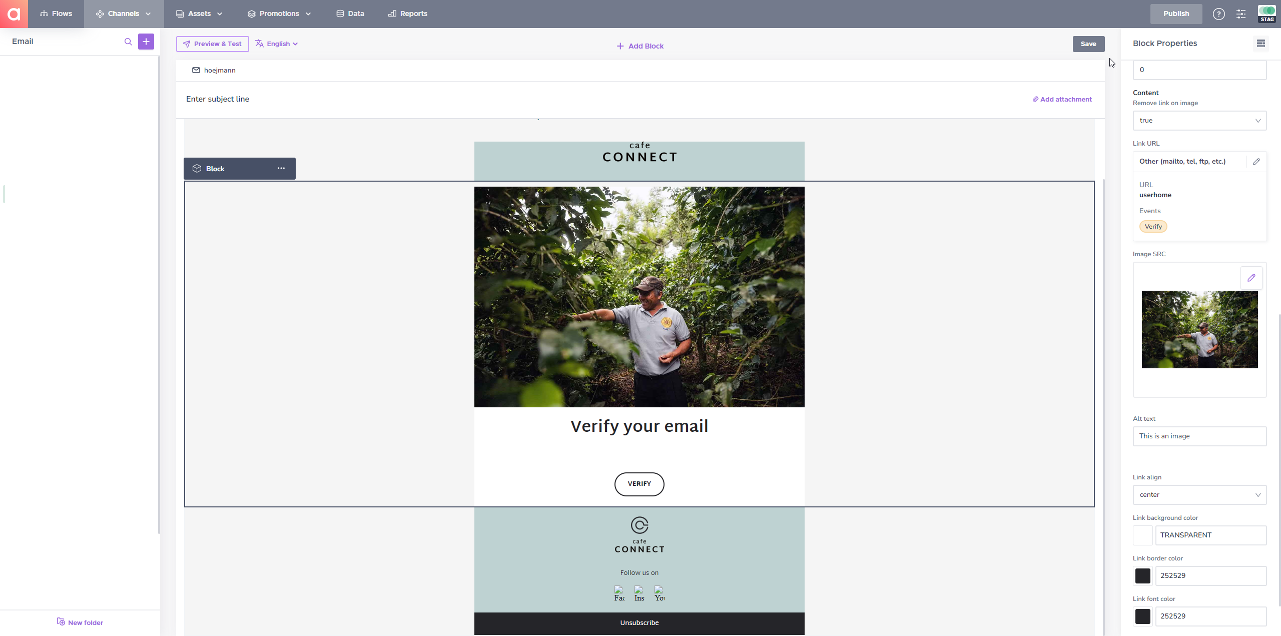 verify-email.png